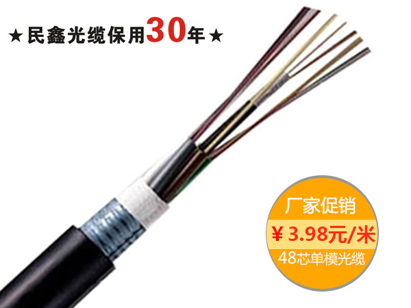 48芯室外單模光纜，GYTA/GYTS-48B1.3 G652D纖芯